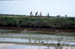 marais salant 30034