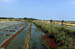 marais salant 30035